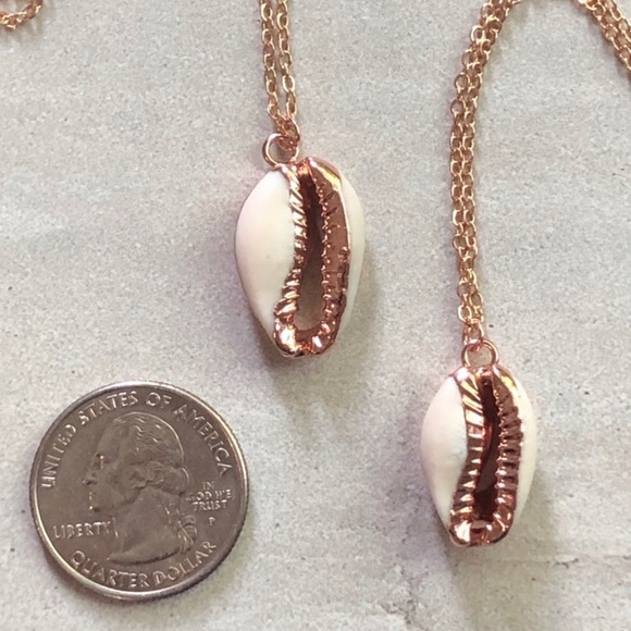 Dainty 14 K Rose Gold Cowrie Shell Necklace - Picture 4 of 5